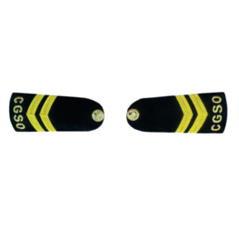 CGSO EPAULETTE 2 ARROW KP22